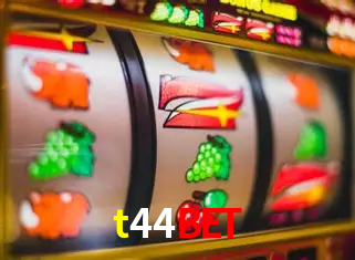 A Experiência Imersiva dos Cassinos Ao Vivo no t44bet